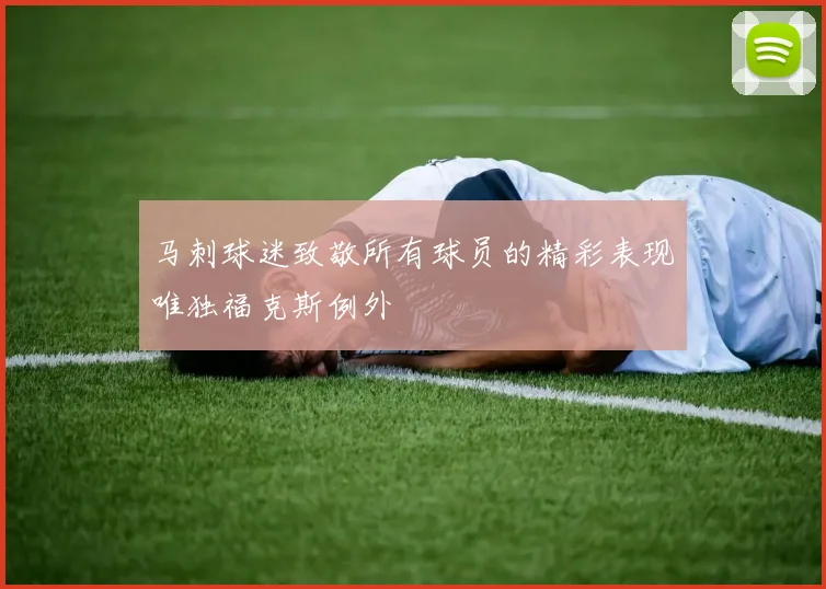 马刺球迷致敬所有球员的精彩表现唯独福克斯例外